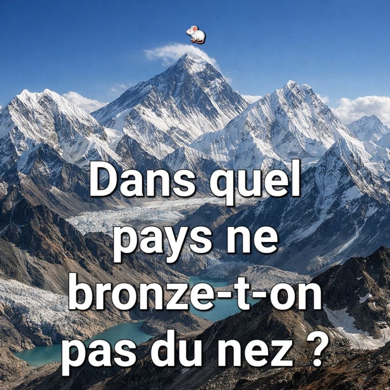 Dans quel pays ne bronze-t-on pas du Nez ?